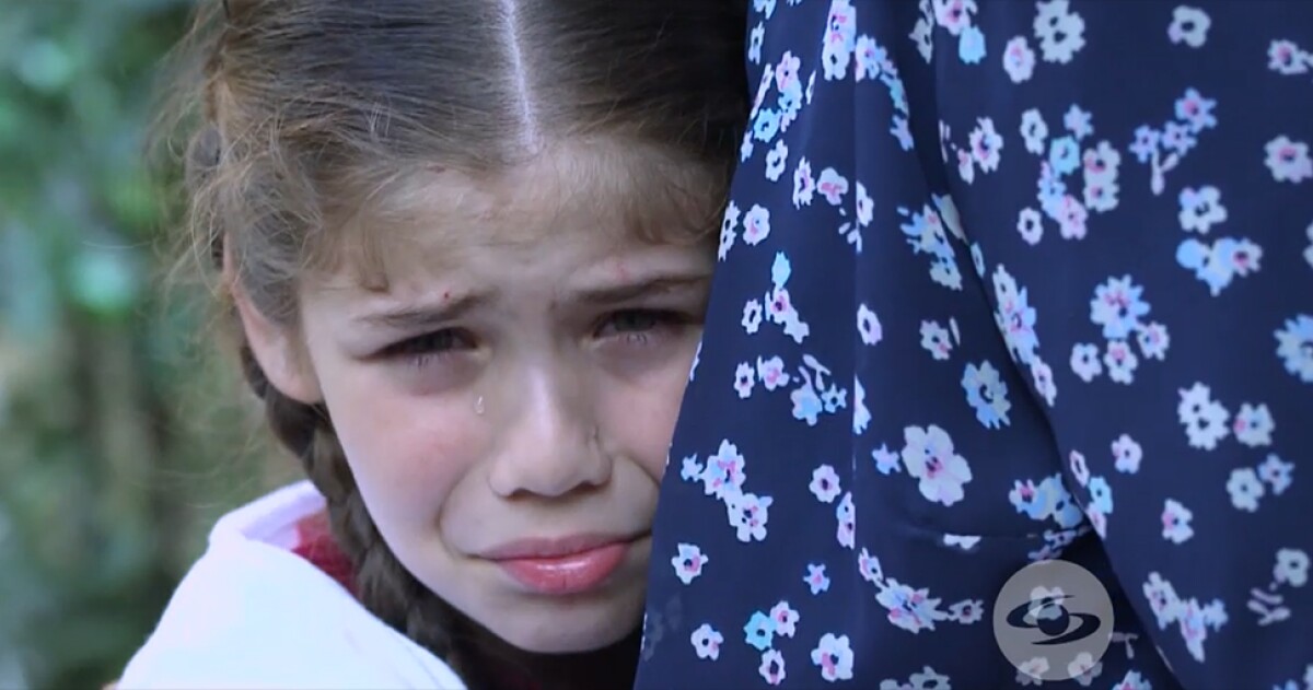 289751_elif970.jpg