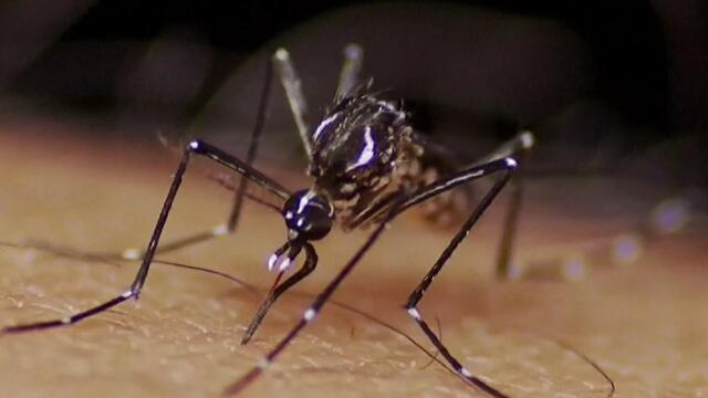 Preocupante situación del dengue en Colombia