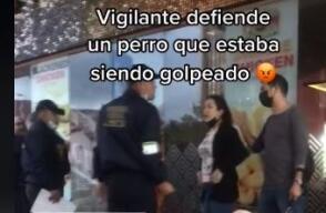 Maltrato animal