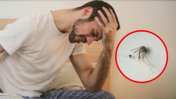 OPS alerta por virus poco conocido, en Colombia ya hay 74 casos: conozca los síntomas 