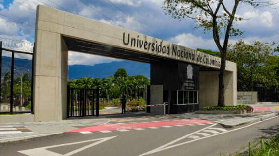 universidad.jpg