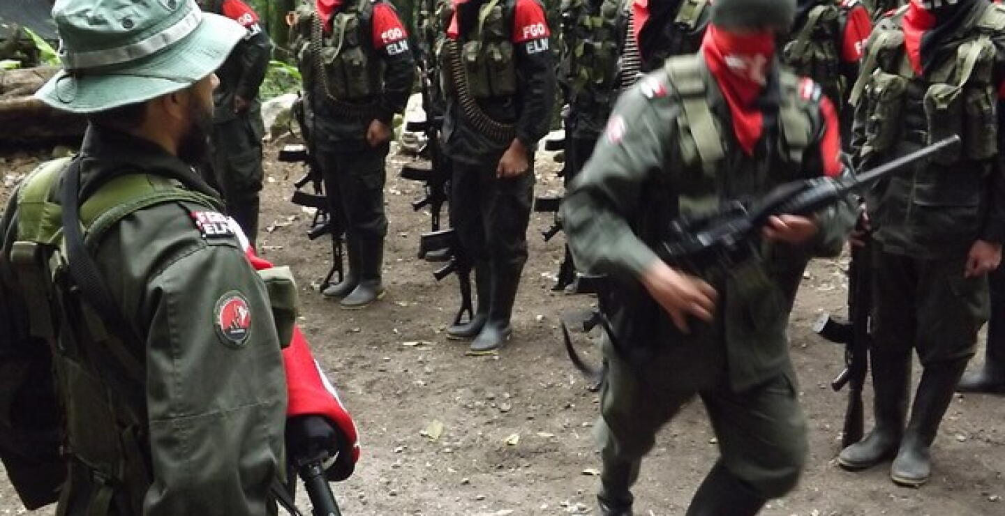 eln_16.jpg