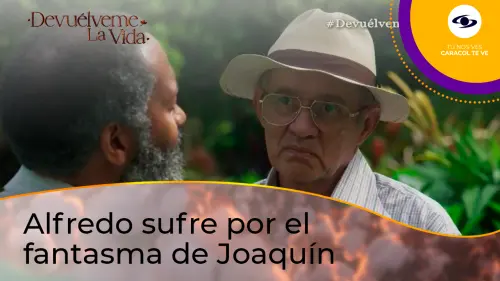 Alfredo sufre por el fantasma de Joaquín en Devuélveme la Vida.