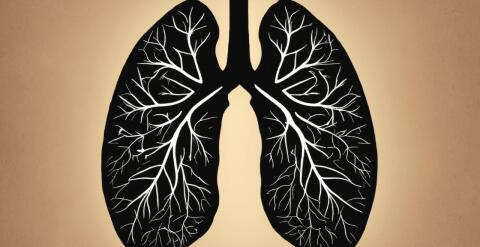 Pulmón