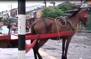 040418control.jpg 040418control.jpg