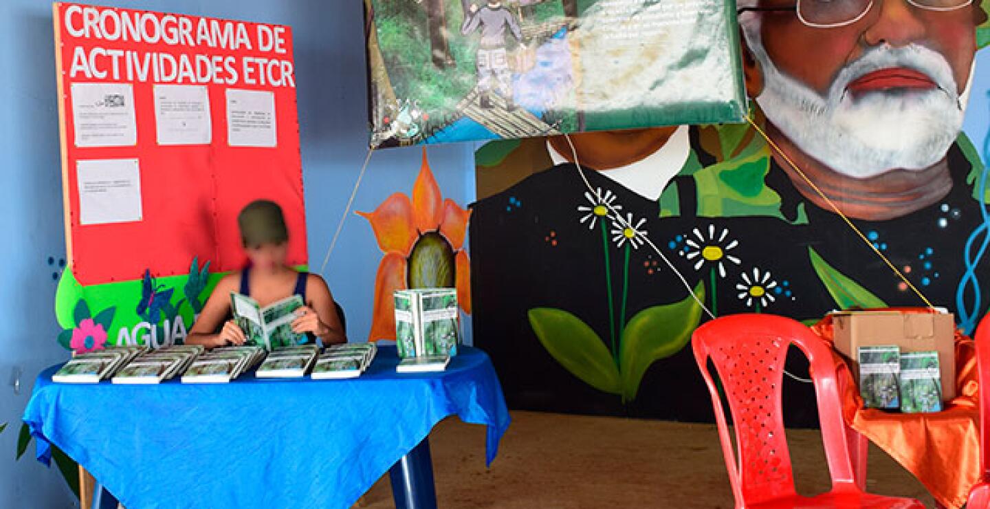 farc.jpg