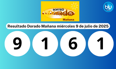 Dorado Mañana Dorado Mañana