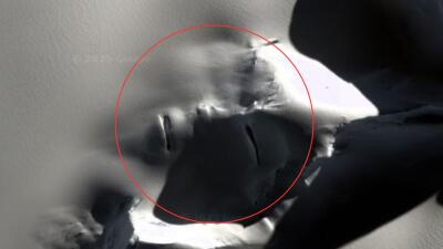 Misterioso rostro apareció en la antártida