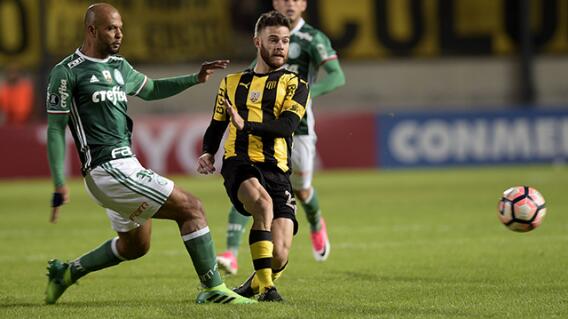 261413_Conmebol suspendió a tres jugadores de Peñarol y uno de Palmeiras 261413_Conmebol suspendió a tres jugadores de Peñarol y uno de Palmeiras