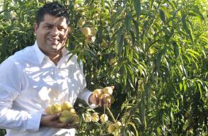 296550_BLU Radio. Alonso Orjuela Pardo - Dueño de Surtifruver // Foto: El Espectador