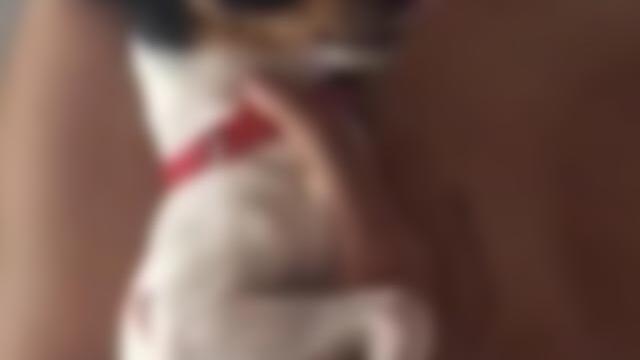 Thumbnail Thumbnail