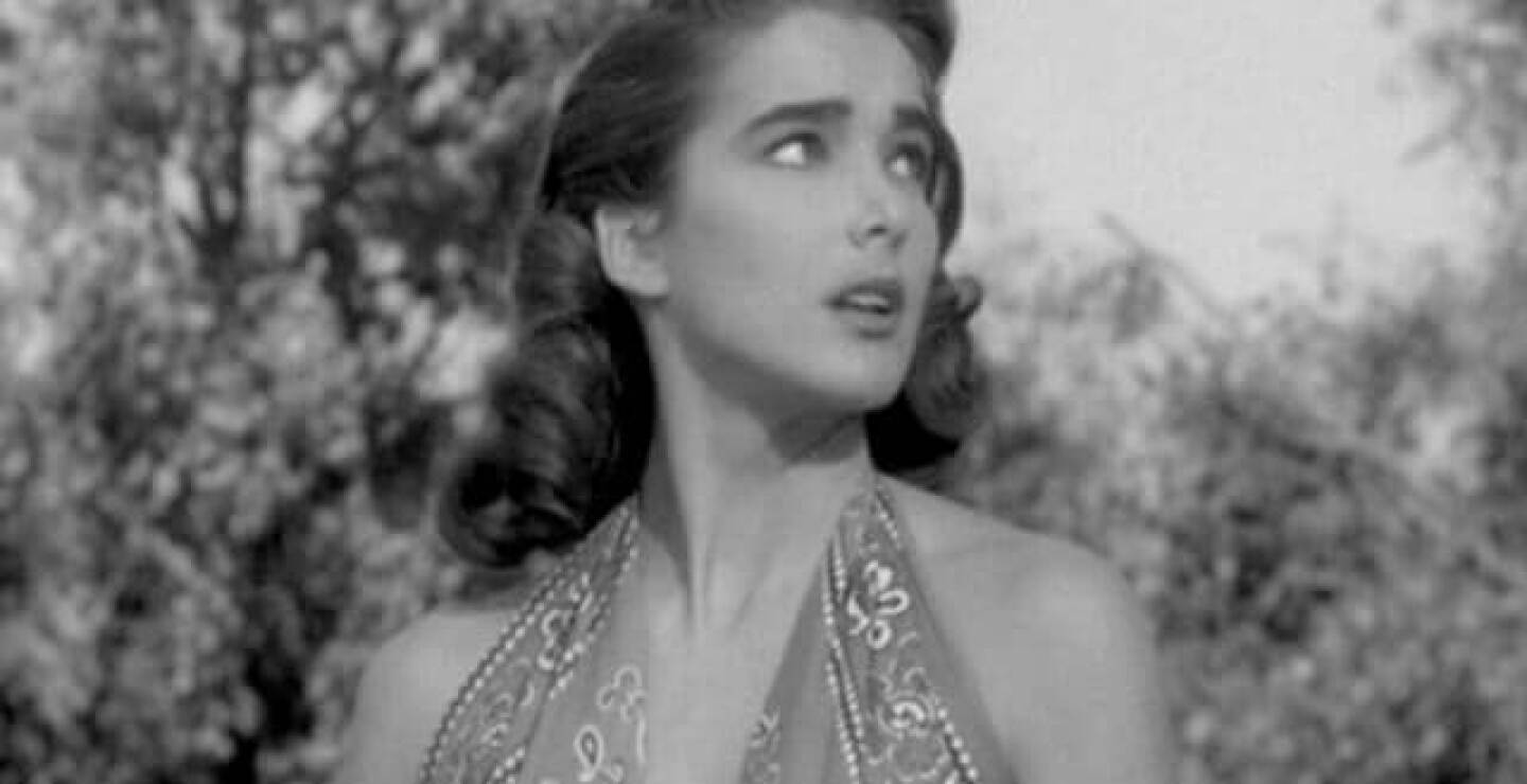 julie-adams.jpg