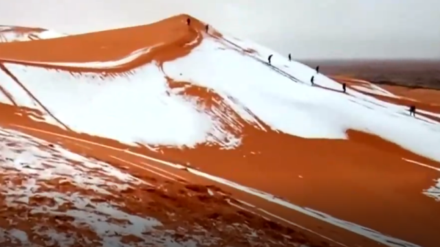 Ver para creer: cayó nieve en el desierto más caliente del mundo 