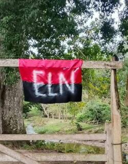 eln.jpg