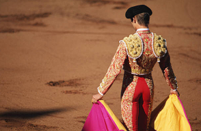 Imagen de referencia, torero