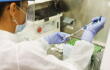 370676_Test coronavirus. Foto: AFP