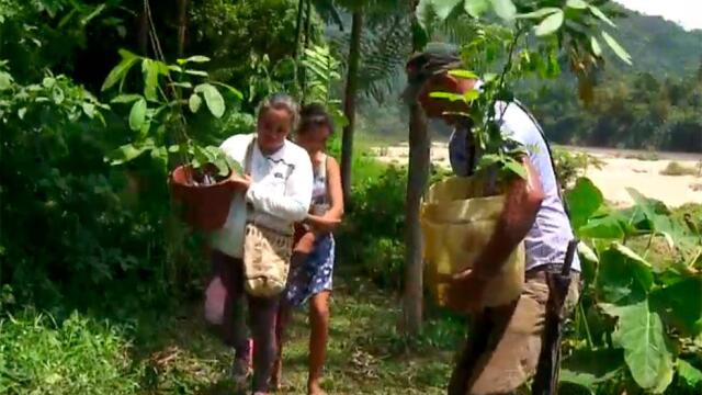 Campesino de la Sierra Nevada pasó de cortar árboles a ser activista ambiental