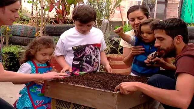 Jóvenes enseñan a aprovechar espacios urbanos para la producción de alimentos 