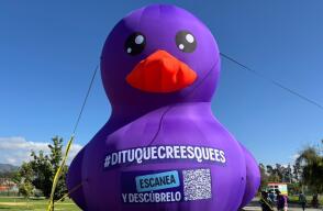 Pato gigante de ditu en Colombia. Pato gigante de ditu en Colombia.