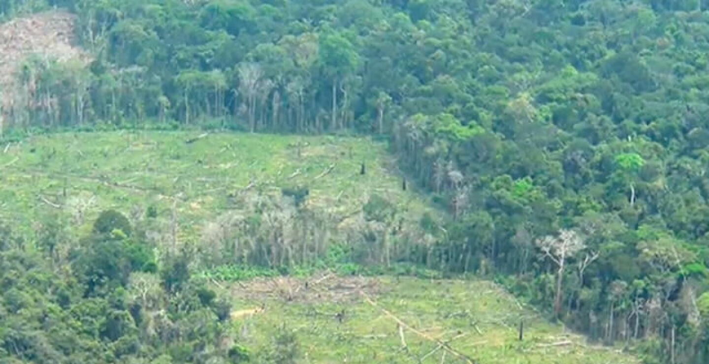 deforestacion-chiri.jpg