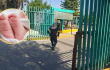 Bebé fue encontrado en una unviersidad