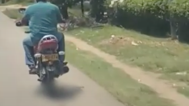 Perro muerto Perro muerto