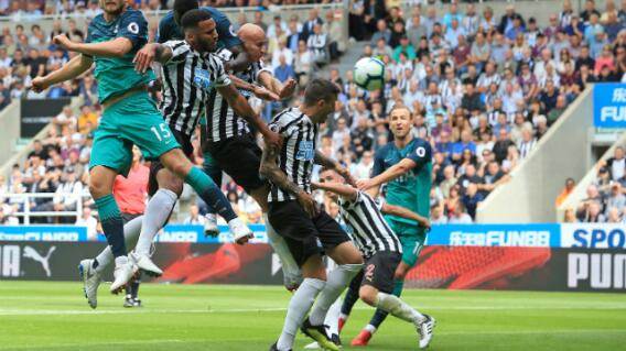 285991_tottenhamnewcastle110818afp_e.jpg
