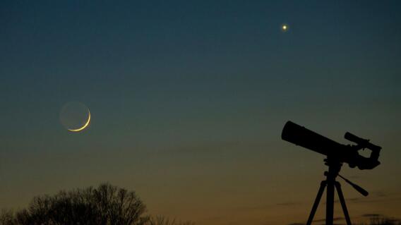 Venus se verá en febrero