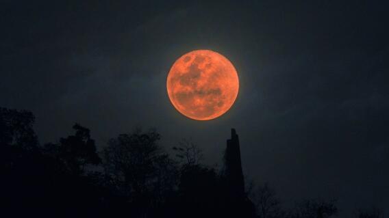'Luna de Sangre', imagen de referencia 'Luna de Sangre', imagen de referencia