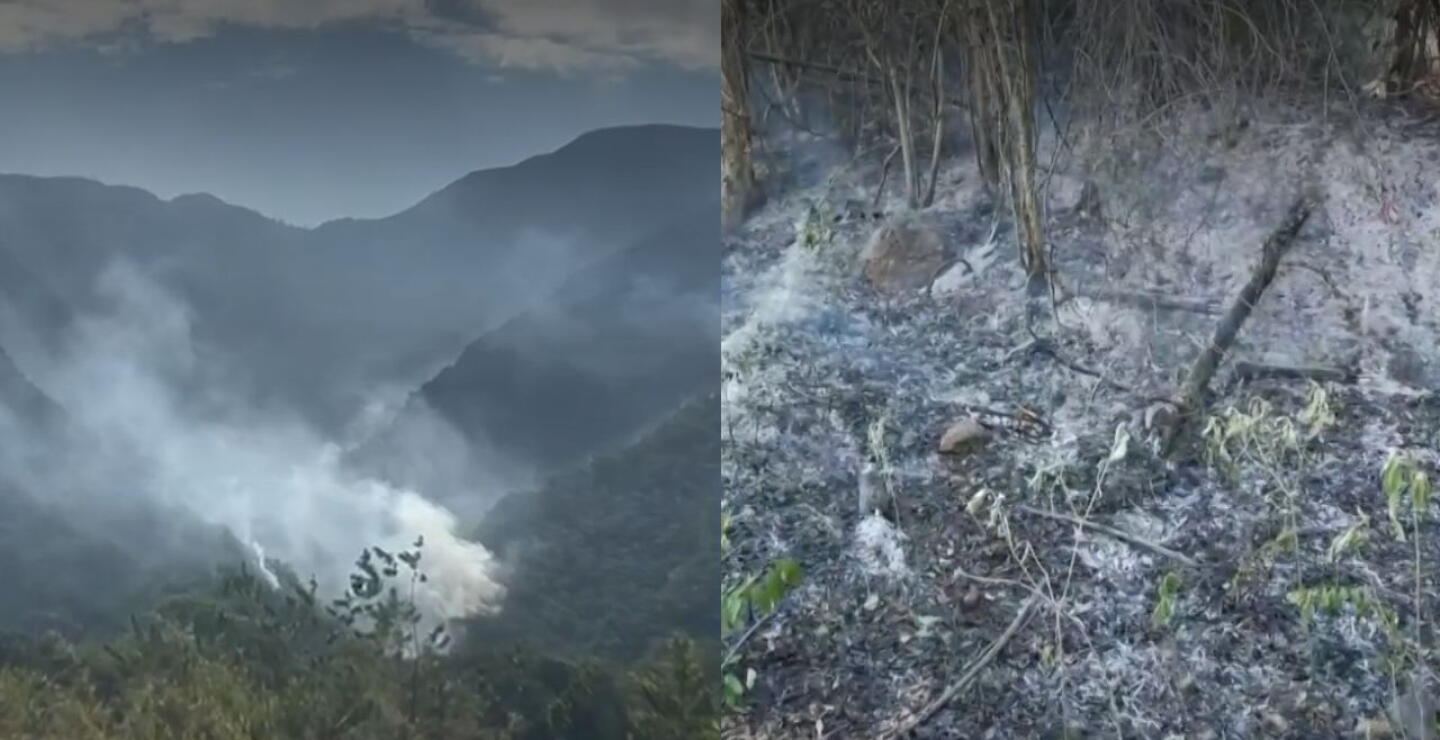 Incendios en Ortega, Tolima: 14.000 hectáreas quemadas y 35.000 reses en riesgo por emergencia