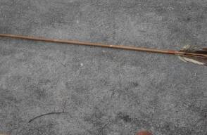 En Italia, hombre con flecha en la cabeza sobrevivió dos días solo en casa
