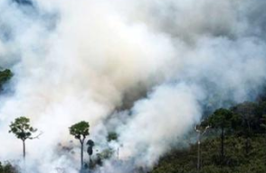 341623_Blu Radio/ Incendio en el Amazonas. Foto: AFP