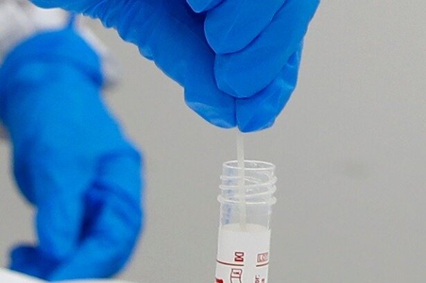 covid_10_coronavirus_coronavirus_covid_2_0.jpeg