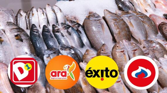 Precios del pescado en Ara, D1, Éxito y Olímpica Precios del pescado en Ara, D1, Éxito y Olímpica