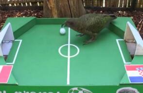 311128_Foto: Tomada de video de Eurosport