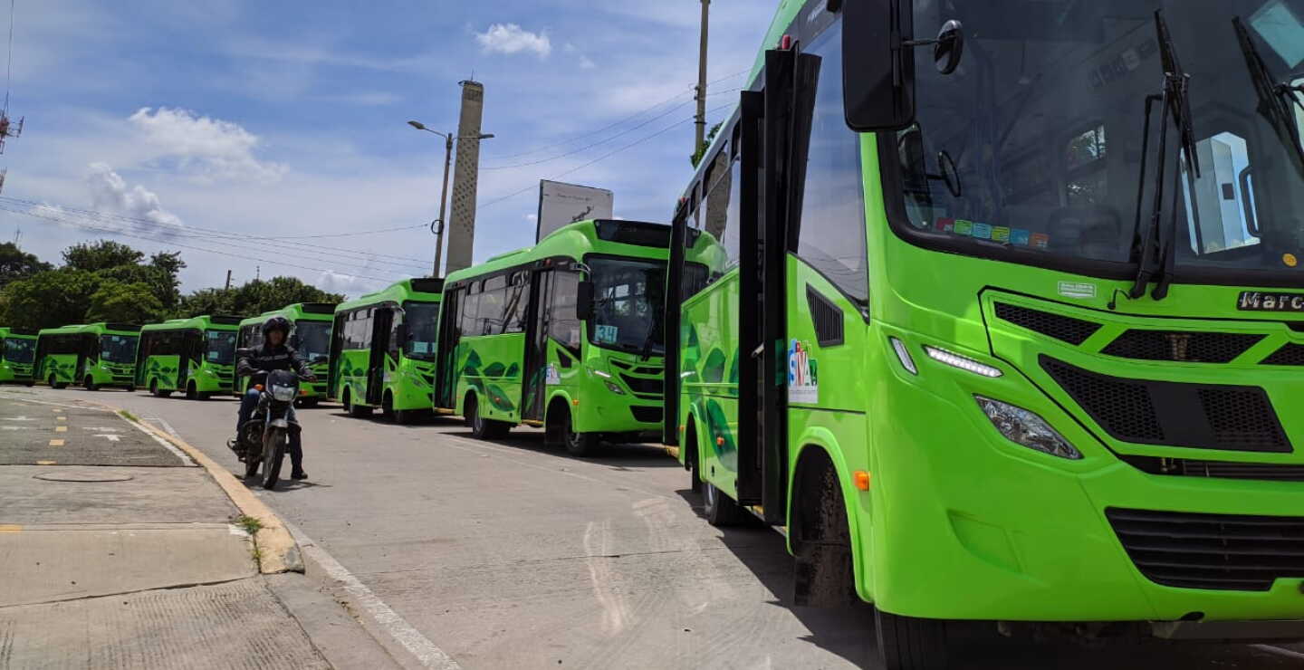 Buses.jpeg