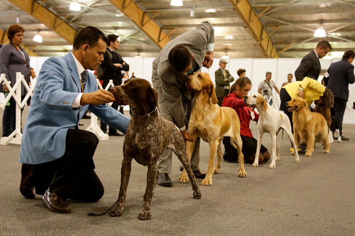 expopet.jpg