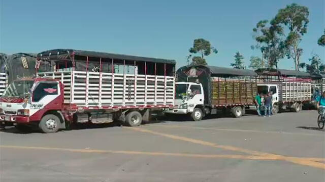 Transportadores de alimentos se quejan por restricciones ambientales para entrar a Bogotá