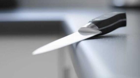 Cuchillo, instrumento que se emplea para cortar Cuchillo, instrumento que se emplea para cortar