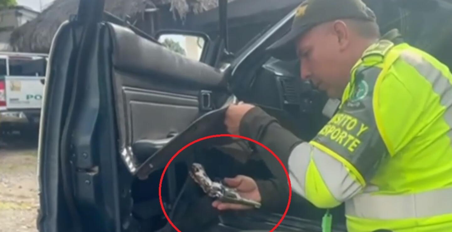 Policía de Tolima pilló plan de dos sujetos que pretendían llegar a Bogotá