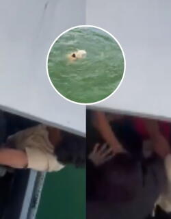 Joven murió tras caer al embalse de Guatapé 
