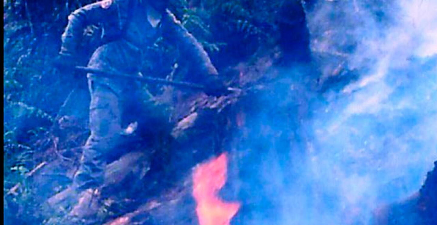 260215fuego_0.jpg