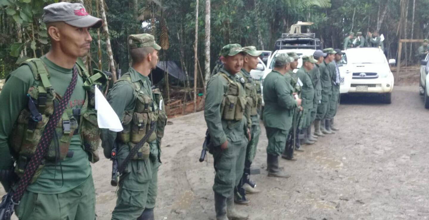 277530_Foto: Andrés Cardoso