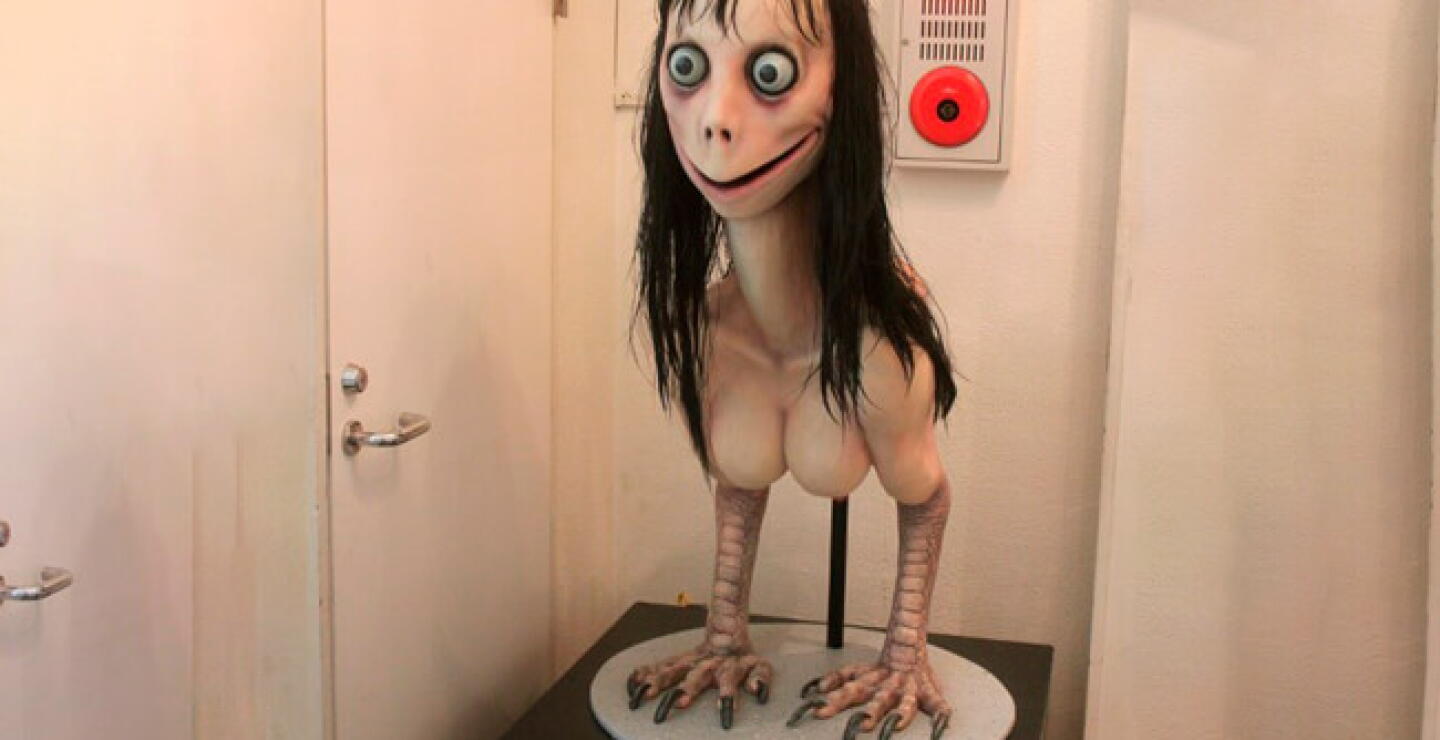 momo.jpg
