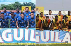 312331_chico_pereira_140519_e.jpg