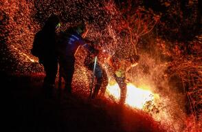 343355_Foto: Cortesía Diana Gaviria