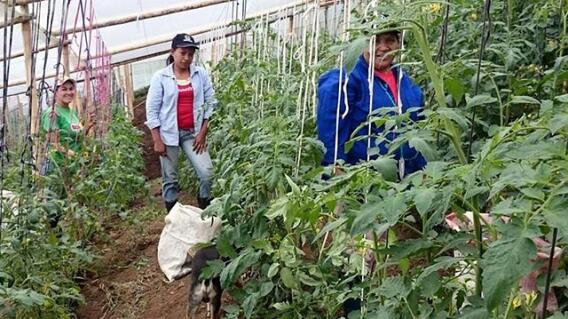 070915vallenpazcampesinos.jpg