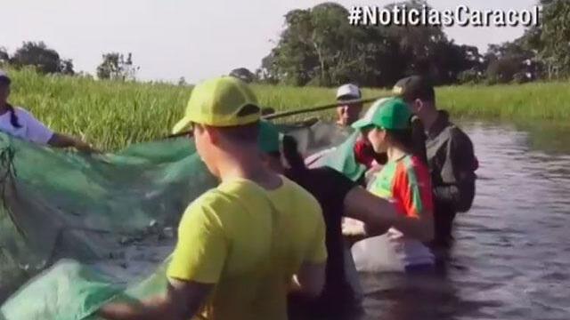 Peces que han quedado atrapados en río Macanacías son liberados por pescadores