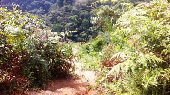 342113_BLU Radio. Sector Chorro de Las Campanas, Envigado / Foto: Alcaldía de Envigado