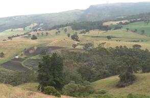 336929_050619_la_finca_de_hoy.jpg